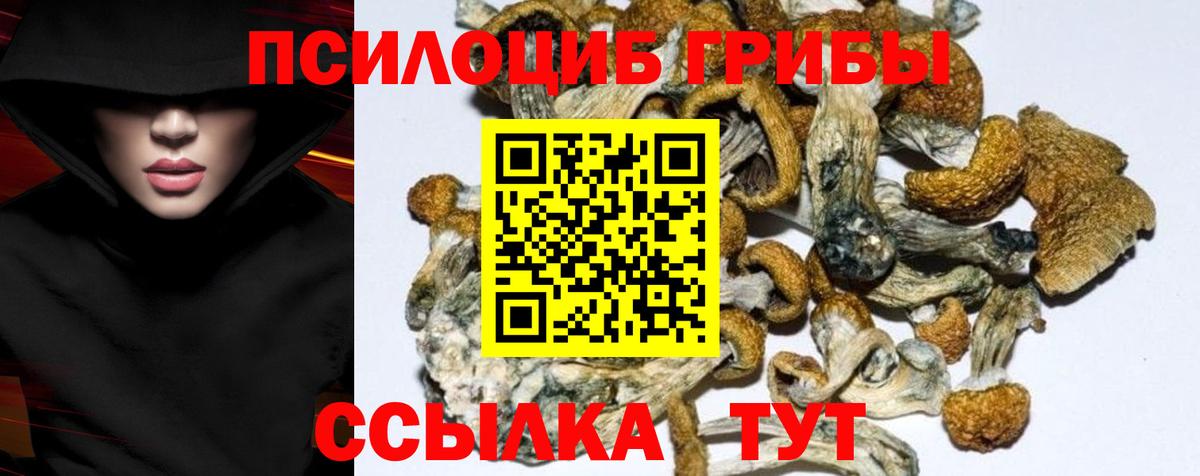 Шадринск  Галлюциногенные грибы мицелий  Вход с VPN 
