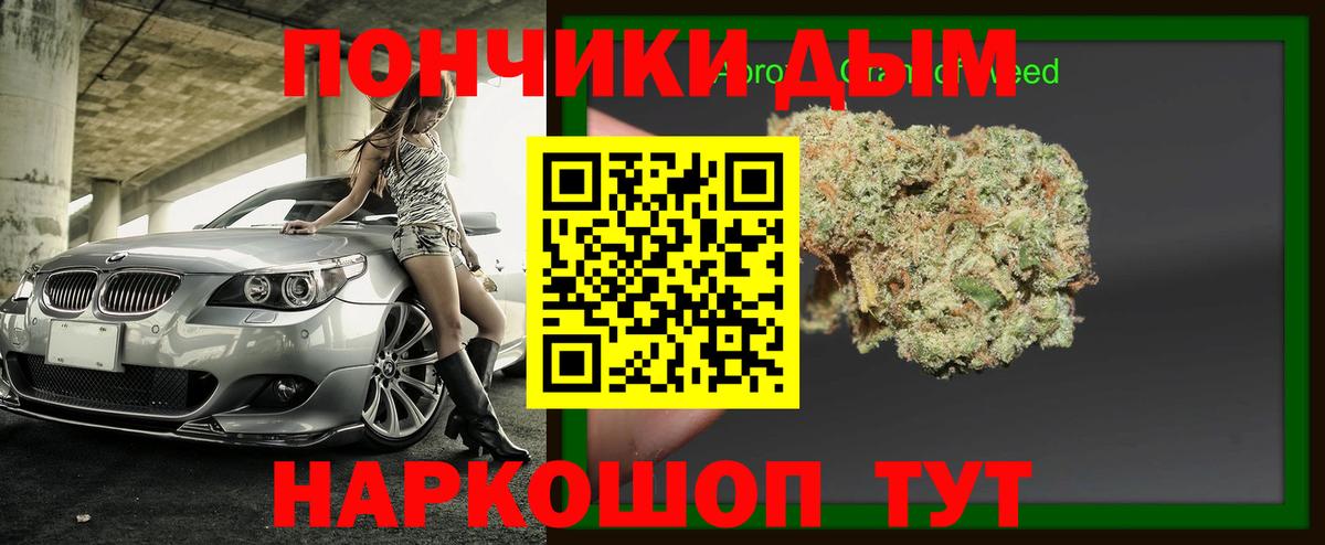 Бошки марихуана марихуана Шадринск
